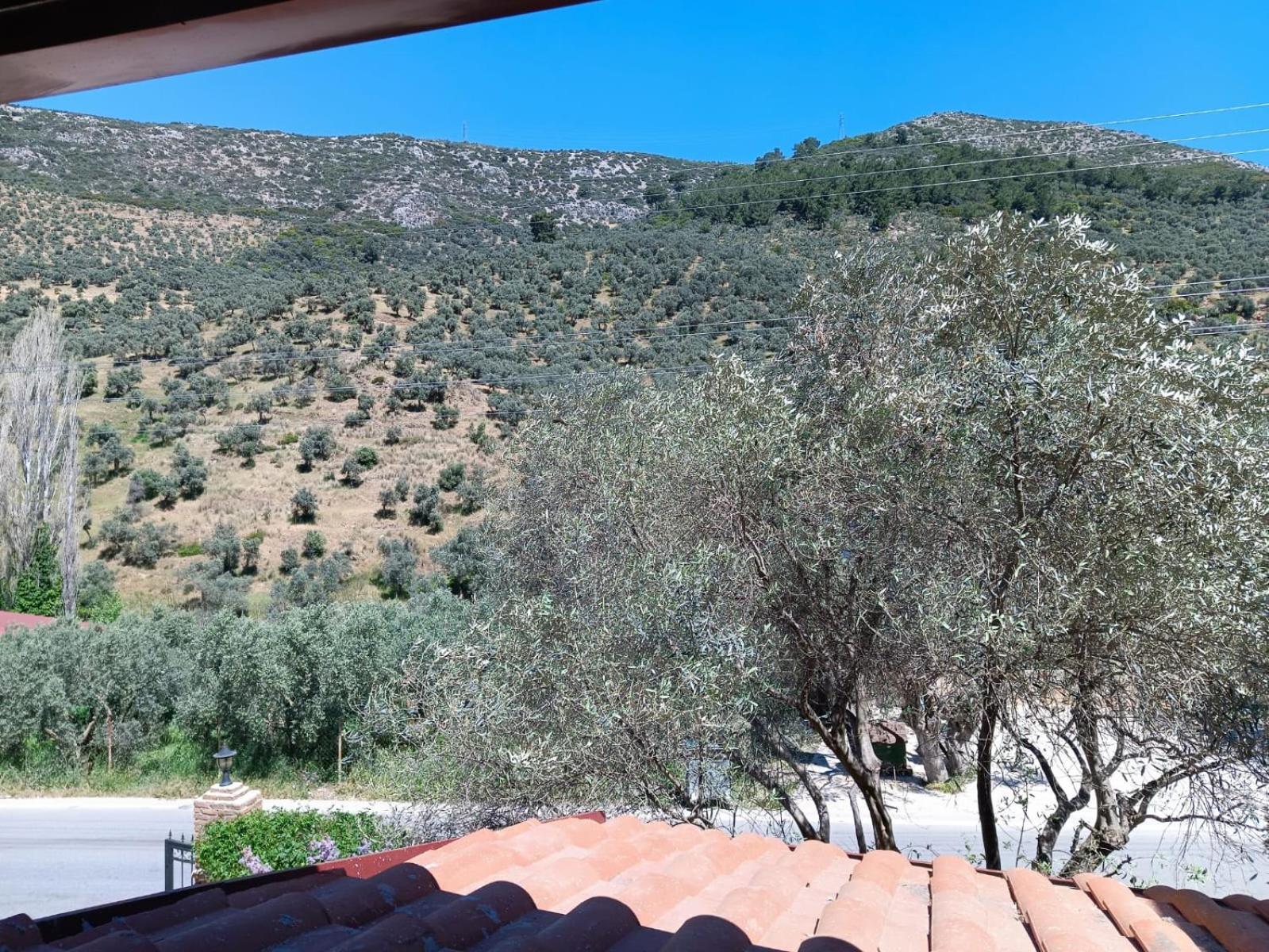 Sirince Klaseas Hotel&Restaurant Selçuk Exterior foto